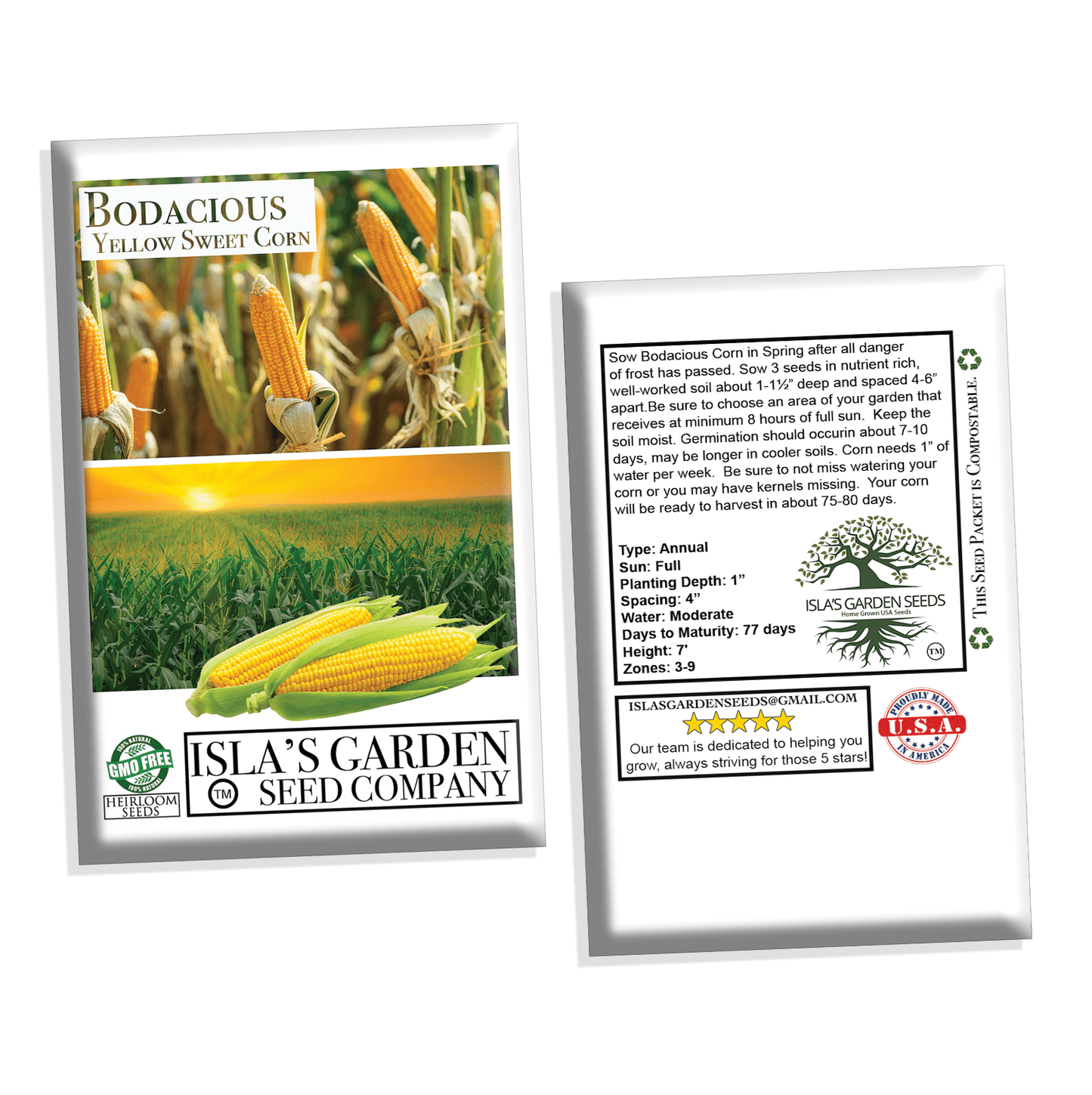 Bodacious RM Hybrid Corn, 50+ Heirloom Seeds Per Packet, Non GMO Seeds, Botanical Name: Zea mays