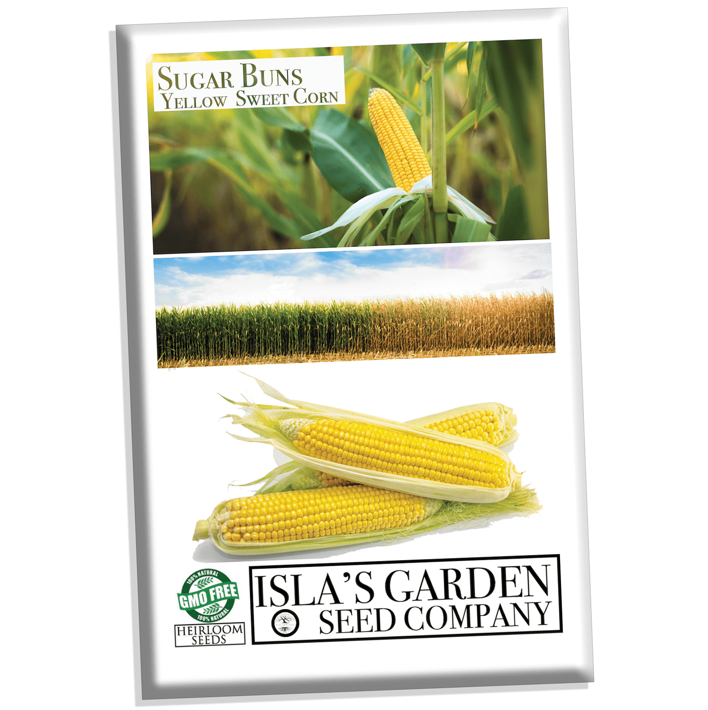 Sugar Buns Sweet Yellow Corn, 50+ Heirloom Seeds Per Packet, Non GMO Seeds, Botanical Name: Zea Mays