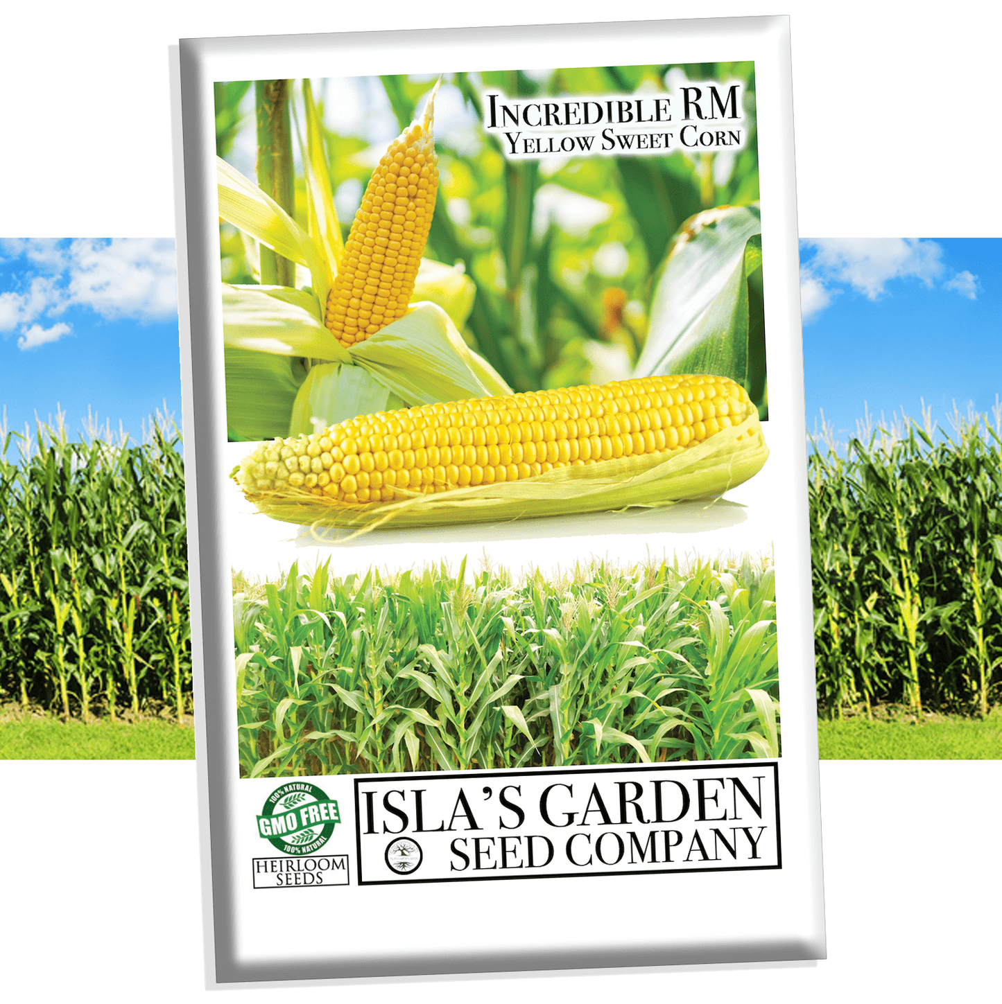 Incredible Sweet Yellow Corn, 75+ Heirloom Seeds Per Packet, Non GMO Seeds, Botanical Name: Zea Mays