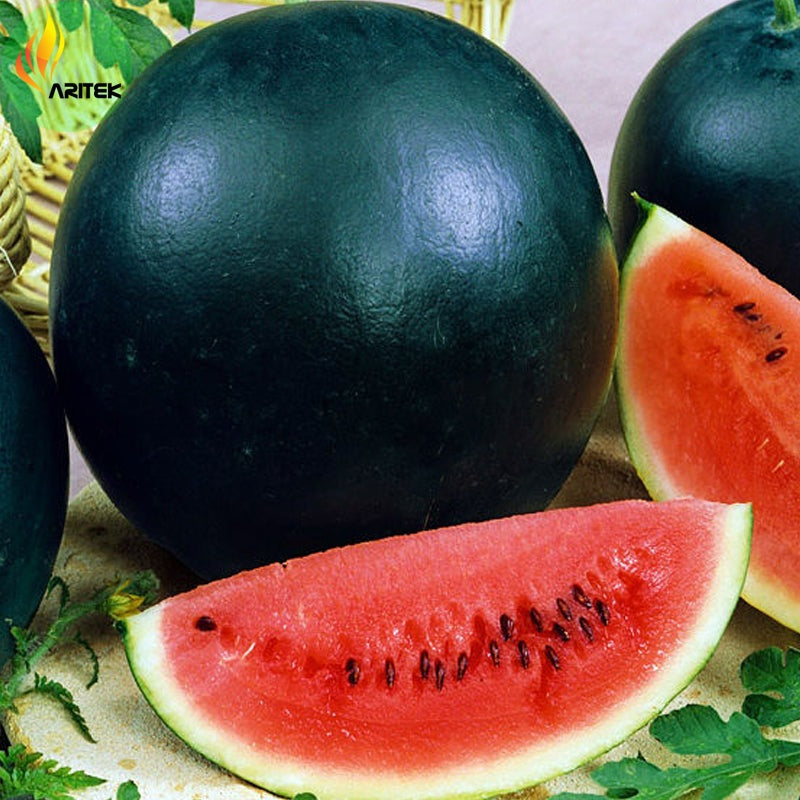 Black Diamond Watermelon, 50 Heirloom Seeds Per Packet, Non GMO Seeds
