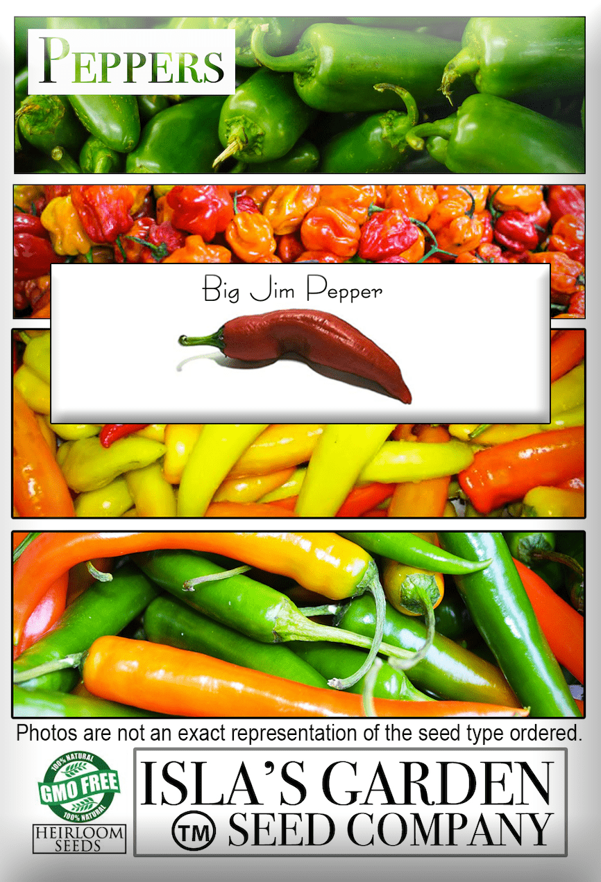 Big Jim Hot Pepper Seeds, 100 Heirloom Seeds Per Packet, Non GMO Seeds