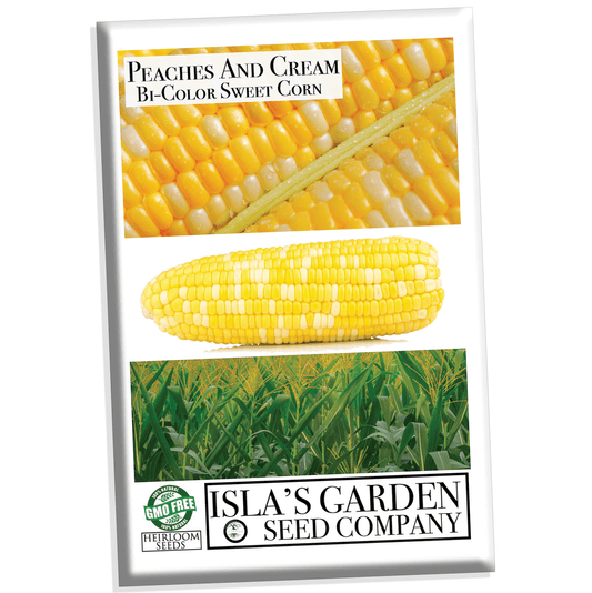 "Peaches and Cream" Bi-Color Sweet Corn Seeds for Planting, 25+ Heirloom Seeds Per Packet, Non GMO Seeds, Botanical Name: Zea Mays