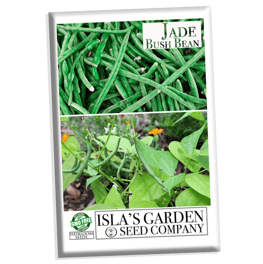 Jade Bush Bean, 50 Heirloom Seeds Per Packet, Non GMO Seeds