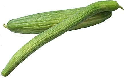 Armenian Dark Green Slicing Cucumber