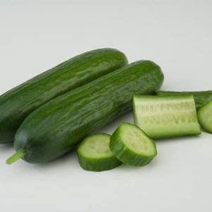 Dasher II Hybrid Cucumber, 25 Seeds Per Packet, Non GMO Seeds