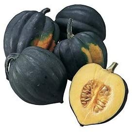 Table Queen Acorn Winter Squash, 30 Heirloom Seeds Per Packet, Non GMO Seeds