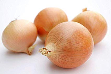 Riverside Sweet Spanish Onion Seeds, 300 Heirloom Seeds Per Packet, Non GMO Seeds
