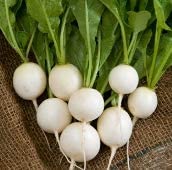 Ping Pong Radish, 100 Heirloom Seeds Per Packet, Non GMO Seeds