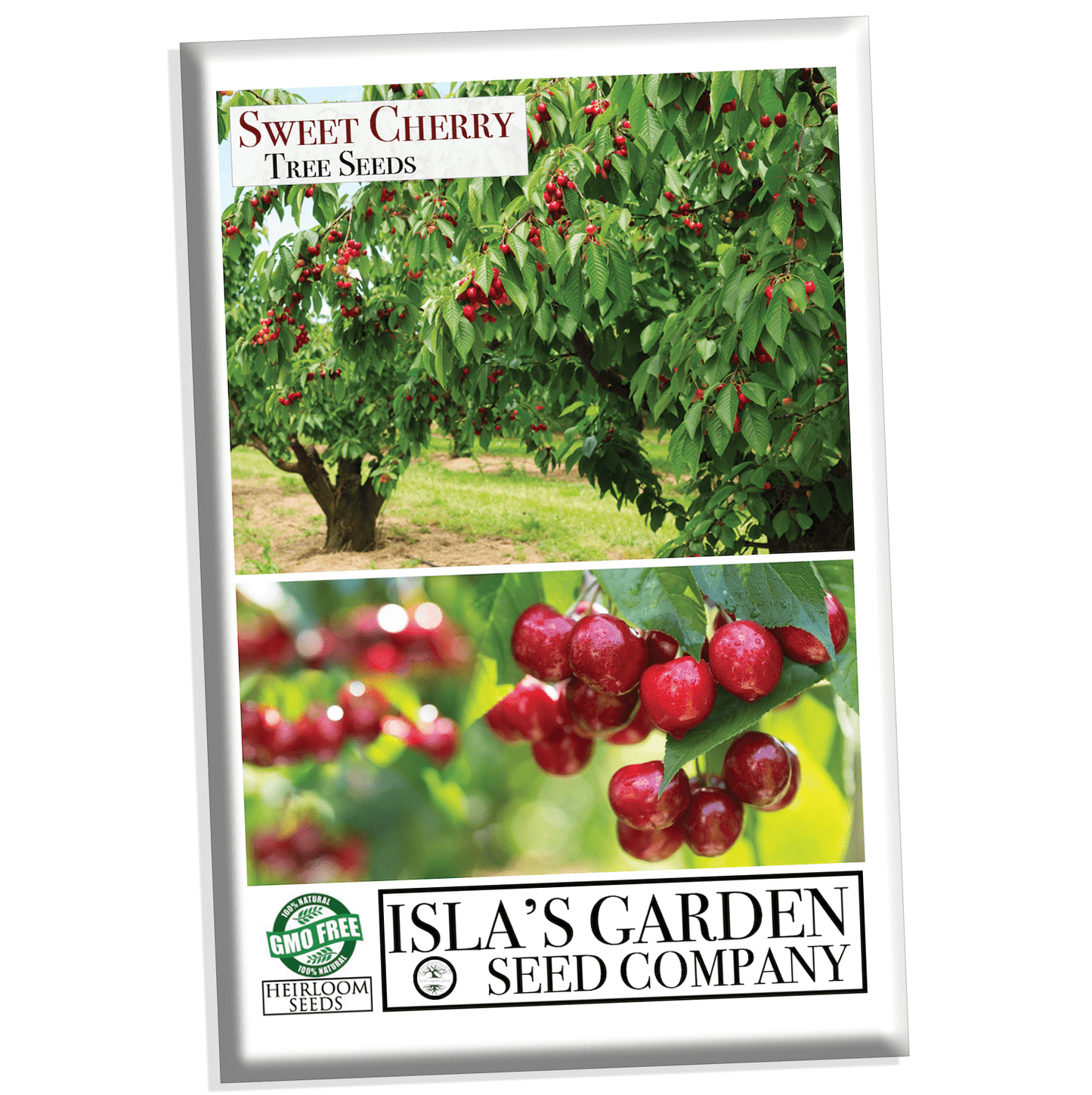 Sweet Cherry Tree Seeds, 20 Seeds Per Packet