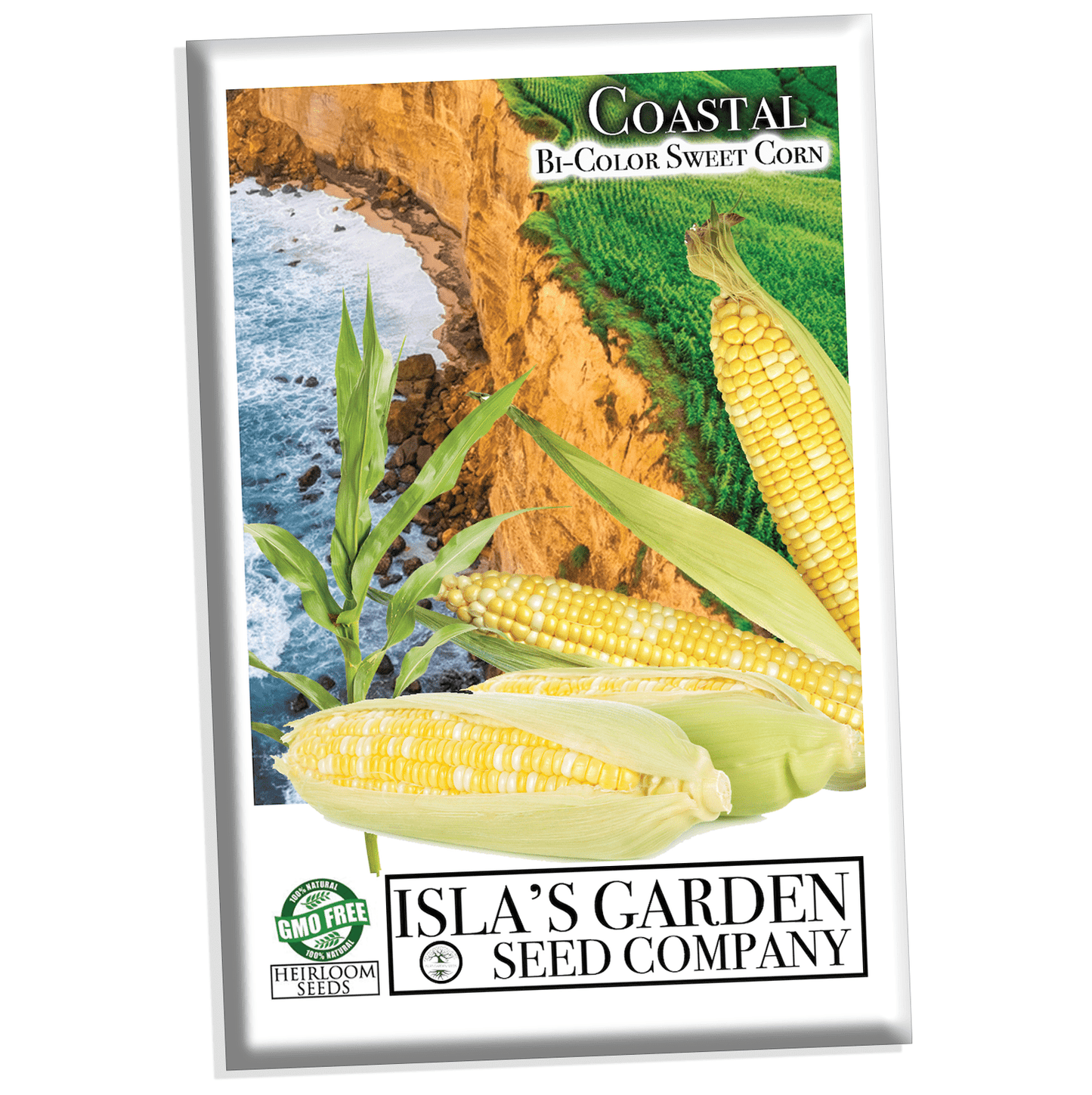 "Coastal" Bi-Color Sweet Corn Seeds, 50+ Seeds Per Packet, Non GMO Seeds, Botanical Name: Zea mays