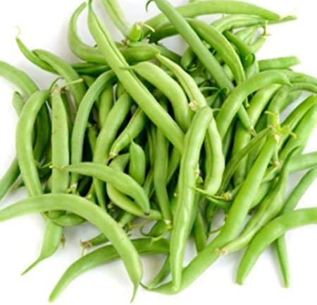 Blue Lake Pole Bean FM1K, 50 Heirloom Seeds Per Packet, Non GMO Seeds