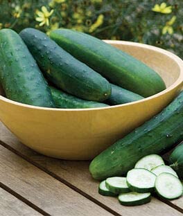 Crispy Green Hybrid Cucumber, 25 Heirloom Seeds Per Packet, Non GMO Seeds