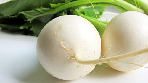 White Detroit Beet, 100 Heirloom Seeds Per Packet, Non GMO Seeds