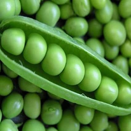 Perfection Dark Seeded Garden Pea, 50 Heirloom Seeds Per Packet, Non GMO Seeds