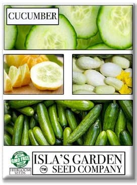 Marketmore 76 Slicing Cucumber