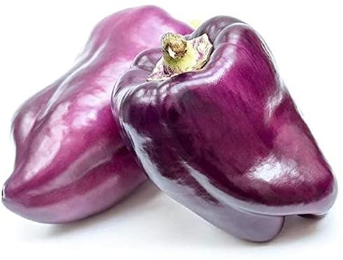 Sweet Lilac Bell Pepper