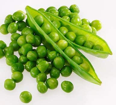 Perfection Dark Seeded Garden Pea, 50 Heirloom Seeds Per Packet, Non GMO Seeds