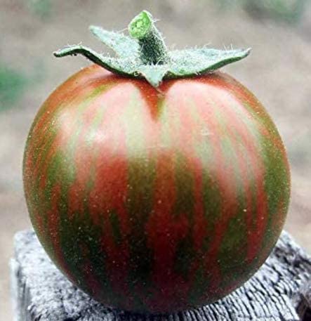 Black Zebra Tomato Seeds, 25 Seeds Per Packet, Non GMO Seeds