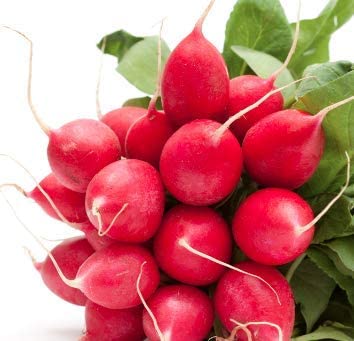 Cherry Belle Radish, 100 Heirloom Seeds Per Packet, Non GMO Seeds