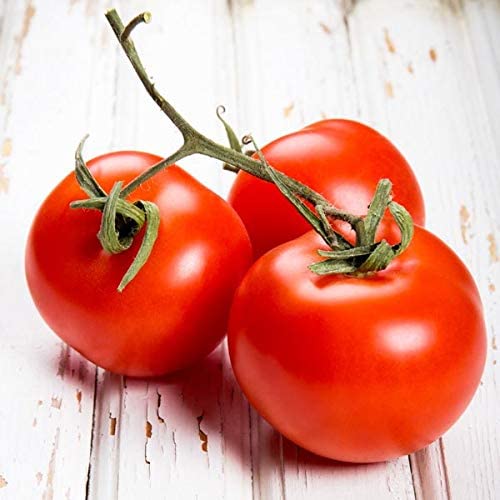 New Girl F1 Tomato Seeds