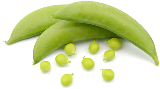 Sugar Sprint Snap Pea