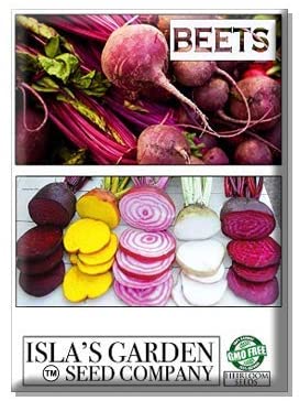 Ruby Queen Beet Seeds