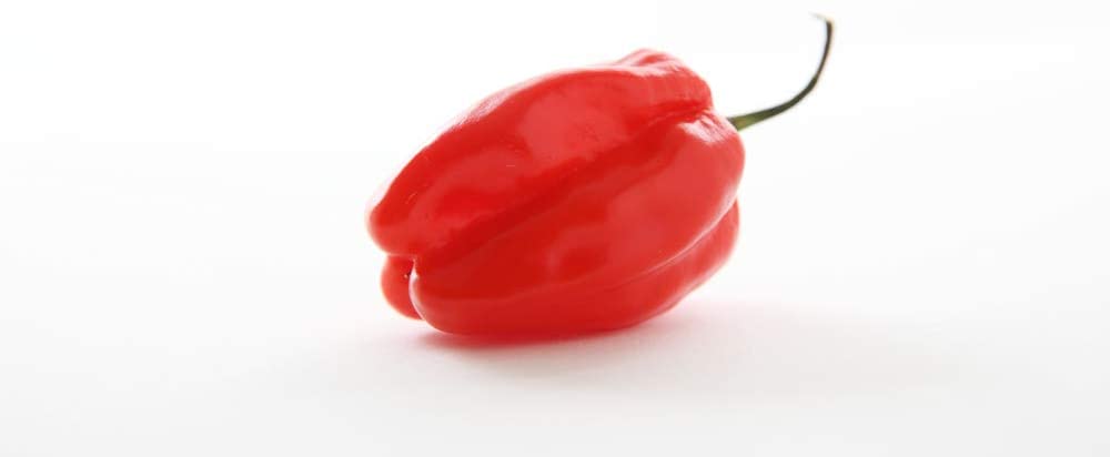 Caribbean Red Habañero, 25 Heirloom Seeds Per Packet, Non GMO Seeds