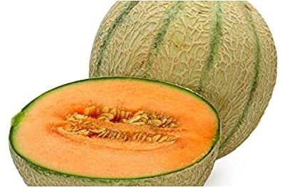 Honey Rock Cantaloupe, 50 Heirloom Seeds Per Packet, Non GMO Seeds