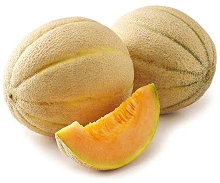Honey Rock Cantaloupe, 50 Heirloom Seeds Per Packet, Non GMO Seeds