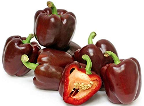 Chocolate Beauty Sweet Bell Pepper, 20 Heirloom Seeds Per Packet, Non GMO Seeds