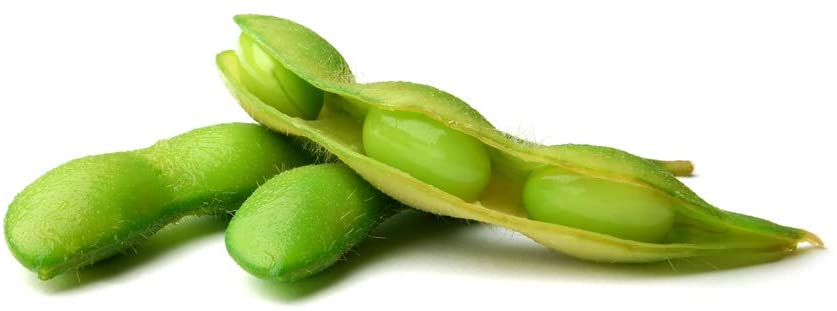 Soybeans, 25 Heirloom Seeds Per Packet, Non GMO Seeds