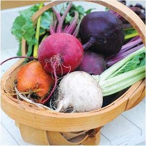 Rainbow Mix Beet Seeds, 100 Heirloom Seeds Per Packet, Non GMO Seeds