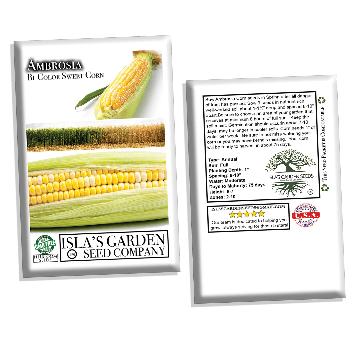 Ambrosia Hybrid Sweet Corn, 50+ Heirloom Seeds Per Packet, Non GMO Seeds, Botanical Name: Zea Mays