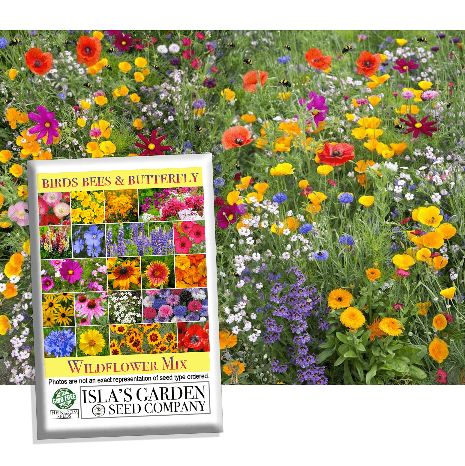 butterfly flower seeds Birds, Bees, and Butterflies Mix Flower Seeds, 500 Seeds Per Packet