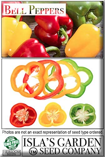 White Bell Pepper