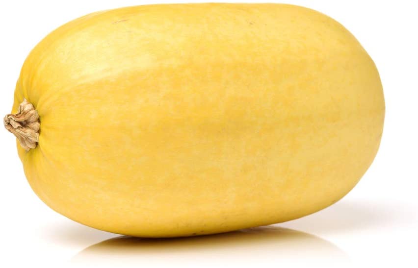 Vegetable Spaghetti Winter Squash, 25 Heirloom Seeds Per Packet, Non GMO Seeds