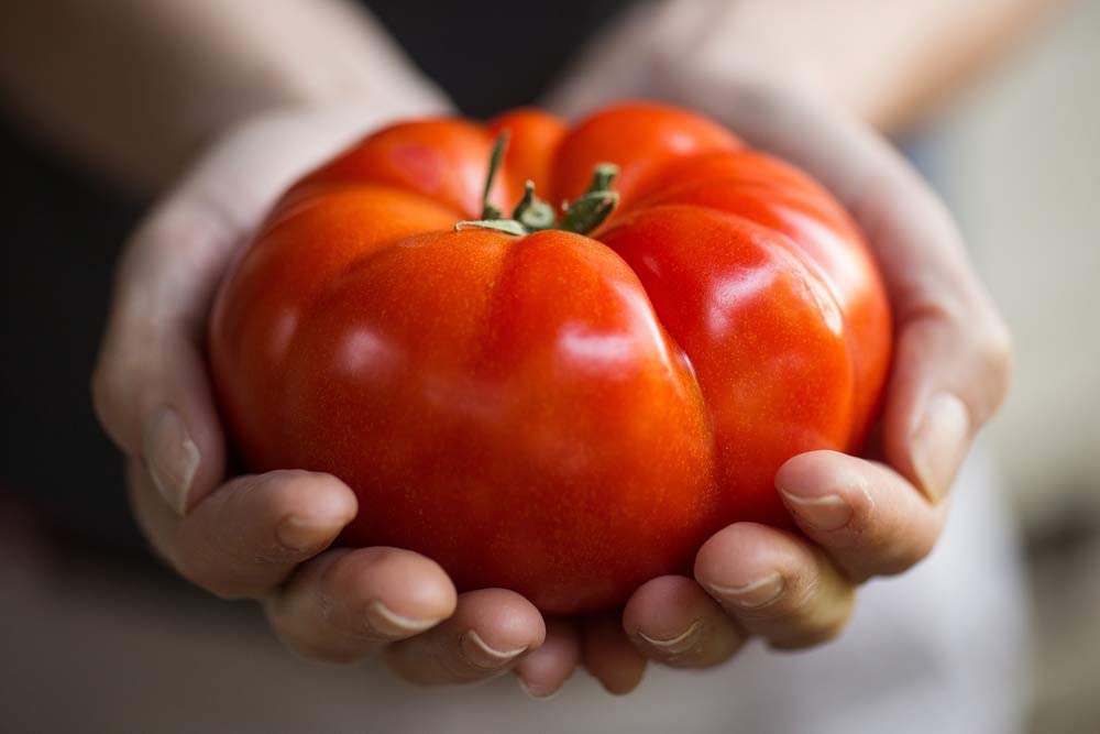 Delicious Giant Tomato, 50 Heirloom Seeds Per Packet, Non GMO Seeds