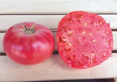 Pink Brandywine Tomato Seeds, 100 Heirloom Seeds Per Packet, Non GMO Seeds