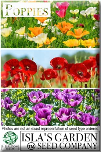 Double Shirley Poppy Mix, 3000 Seeds Per Packet