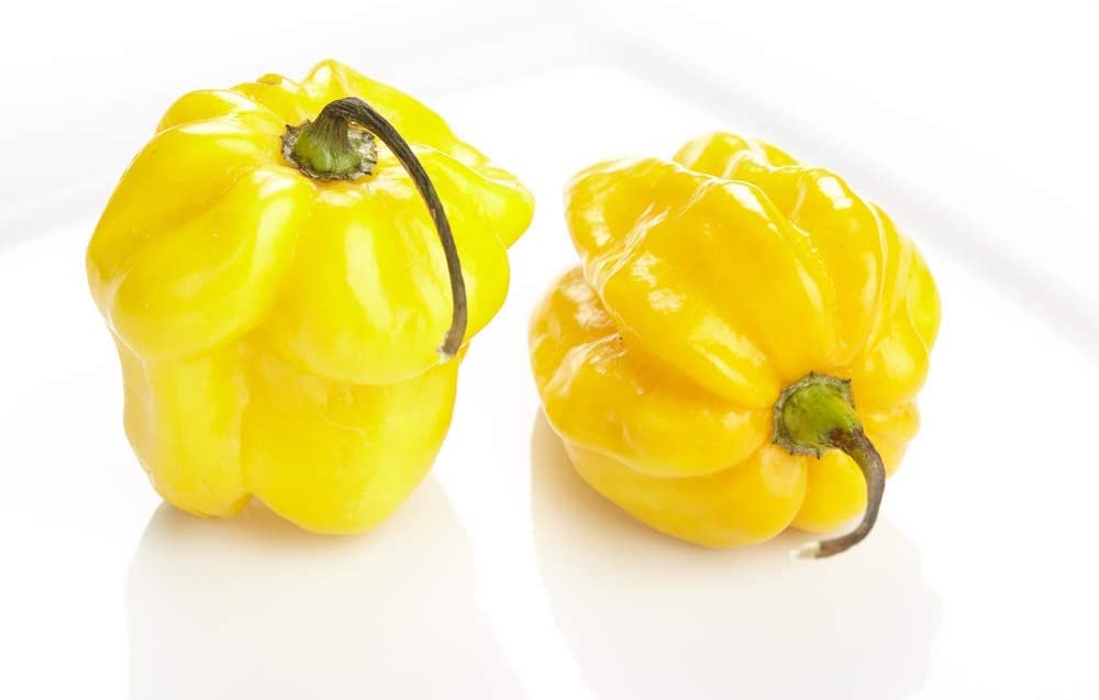 Lemon Habañero Hot Pepper, 25 Heirloom Seeds Per Packet, Non GMO Seeds