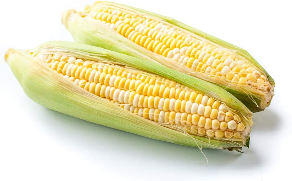 Bi-Color "Bilicious" Sweet Corn Seeds for Planting, 50+ Heirloom Seeds Per Packet, Non GMO Seeds, Botanical Name: Zea Mays