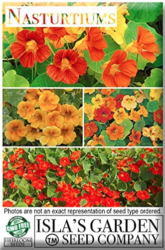 Peach Melba Nasturtium