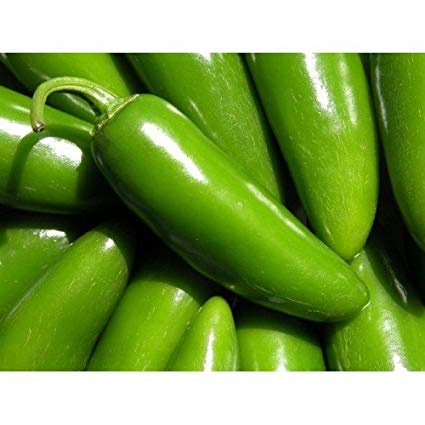Jalapeno Tam Hot Pepper, 150 Heirloom Seeds Per Packet, Non GMO Seeds