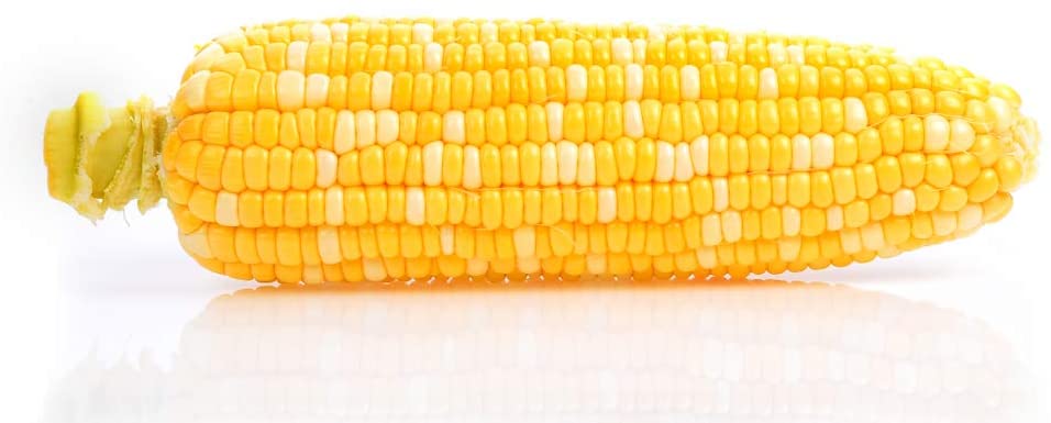 "Coastal" Bi-Color Sweet Corn Seeds, 50+ Seeds Per Packet, Non GMO Seeds, Botanical Name: Zea mays