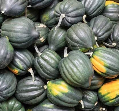 Table Queen Acorn Winter Squash, 30 Heirloom Seeds Per Packet, Non GMO Seeds
