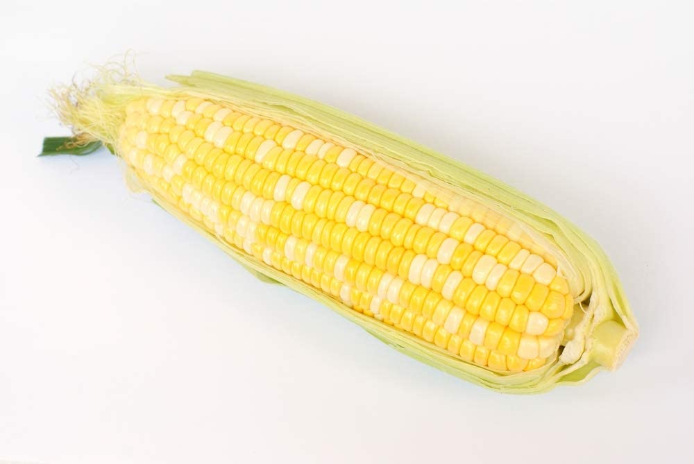 "Coastal" Bi-Color Sweet Corn Seeds, 50+ Seeds Per Packet, Non GMO Seeds, Botanical Name: Zea mays