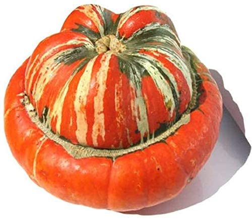 Turks Turban Gourd Squash