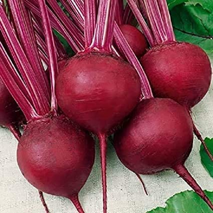 Ruby Queen Beet Seeds