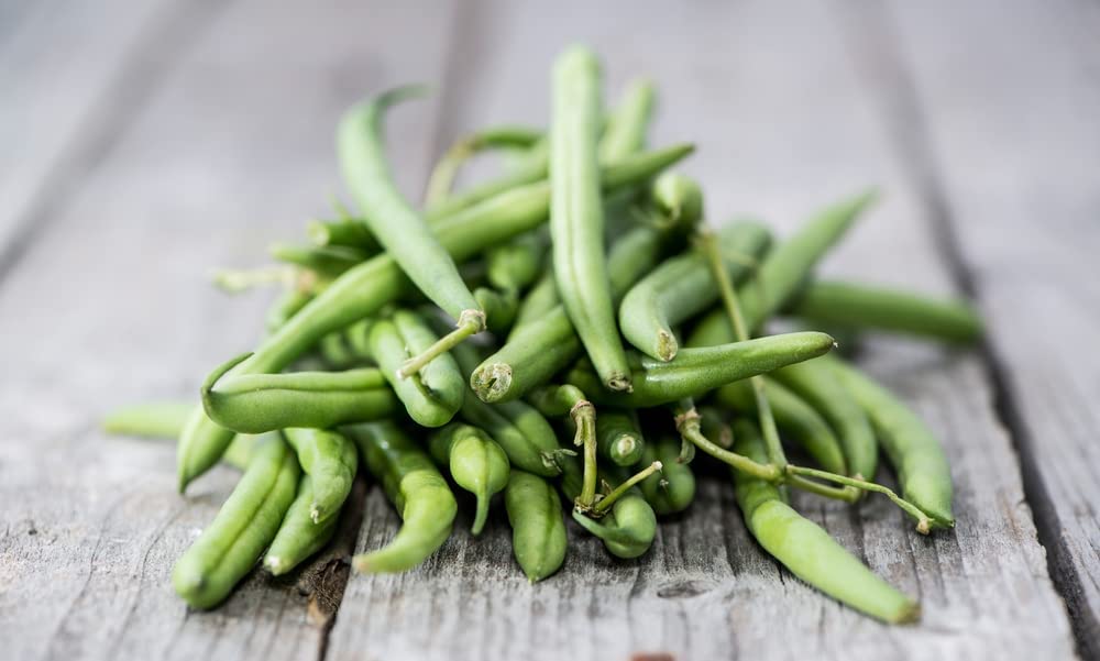 Kentucky Blue pole bean, 30 Heirloom Seeds Per Packet, Non GMO Seeds
