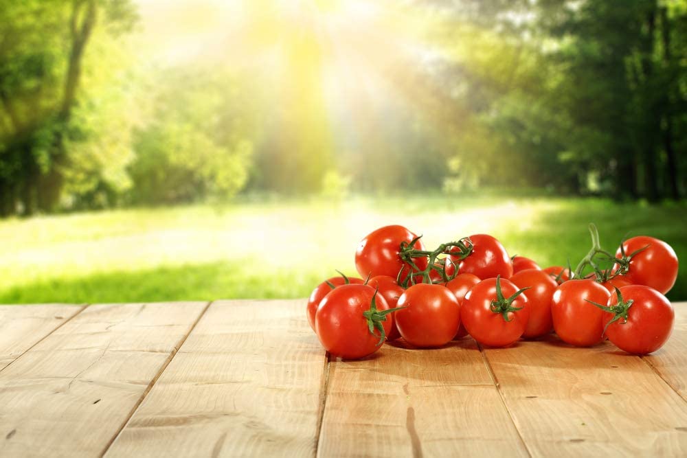 Cal Ace VF Tomato, 300 Heirloom Seeds Per Packet, Non GMO Seeds